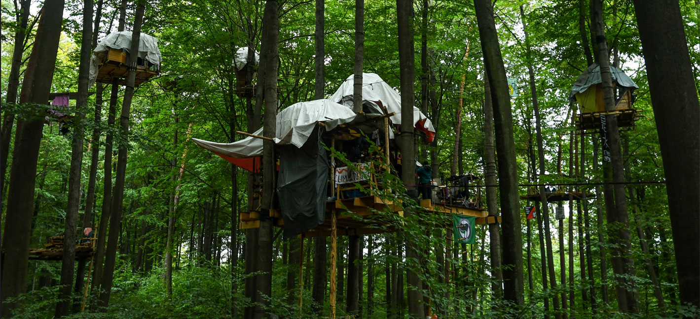 Besetzung im Dannenröder Wald. Kein Ausbau der A49!